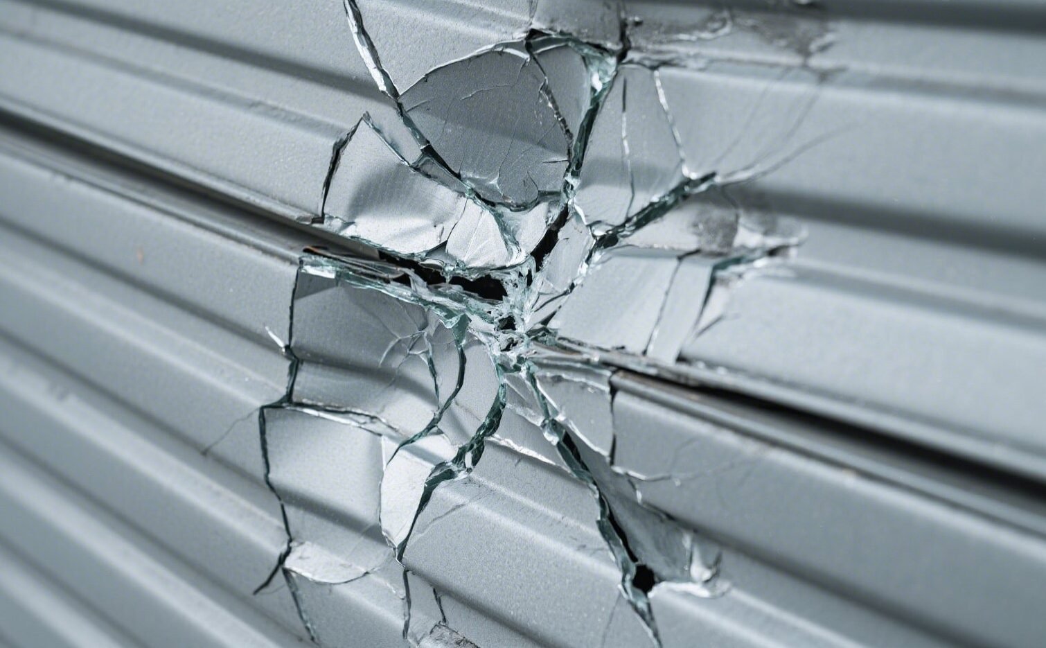 damaged garage door panels.